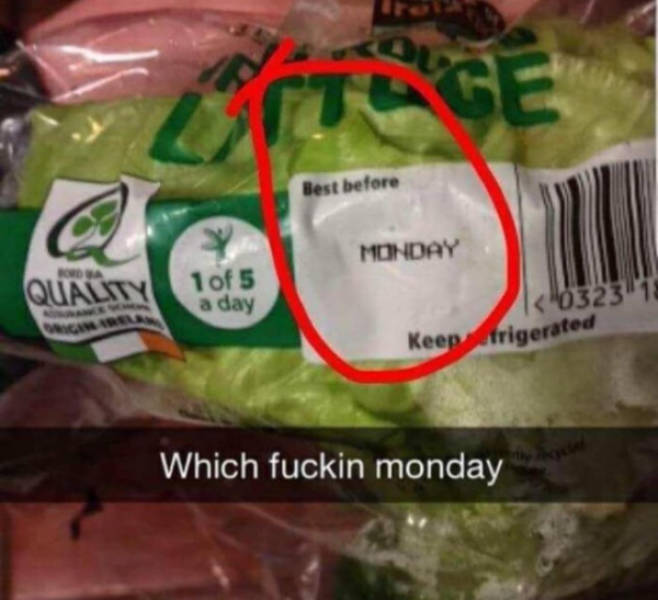 now wait a minute 25 pics 25.html - 25 HD Photos | Premium Gallery 2024