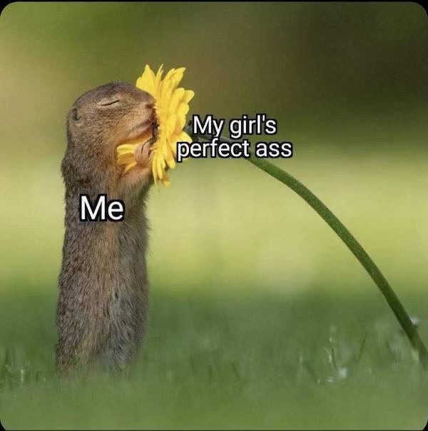 flirty memes to annoy your significant other 30 pics 15.html - 30 HD Photos | Premium Gallery 2024