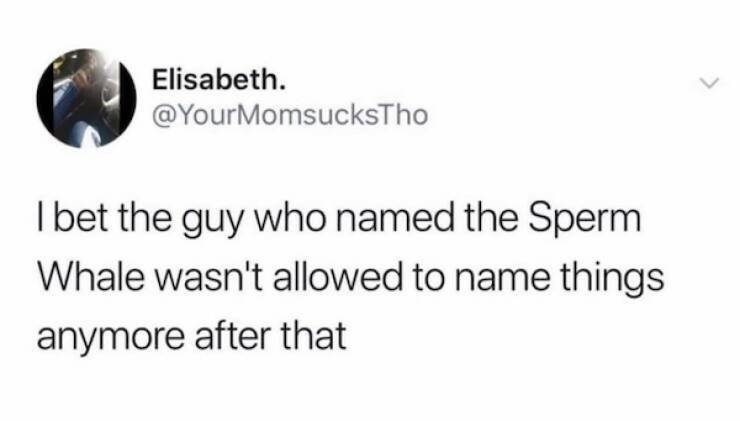 dirty minds are welcome 34 pics 2.html - 34 HD Photos | Premium Gallery 2024