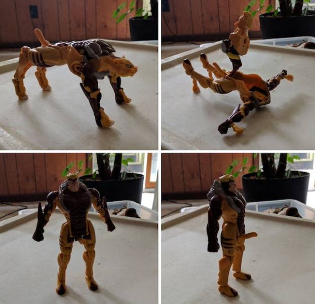 dirty minds are welcome 34 pics 2.html - 34 HD Photos | Premium Gallery 2024