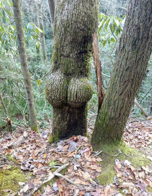 dirty minds are welcome 34 pics 2.html - 34 HD Photos | Premium Gallery 2024