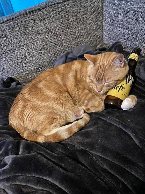 drinking time 46 pics 17.html - 46 HD Photos | Premium Gallery 2024