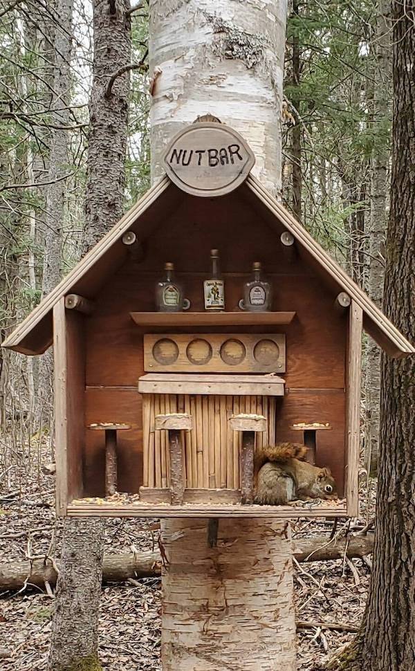 drinking time 46 pics 17.html - 46 HD Photos | Premium Gallery 2024