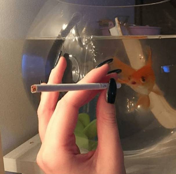 dirty minds are welcome 34 pics 14.html - 34 HD Photos | Premium Gallery 2024