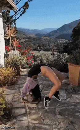 hot girls are here for you 32 gifs 3.html - 1 HD GIF | Premium Gallery 2024