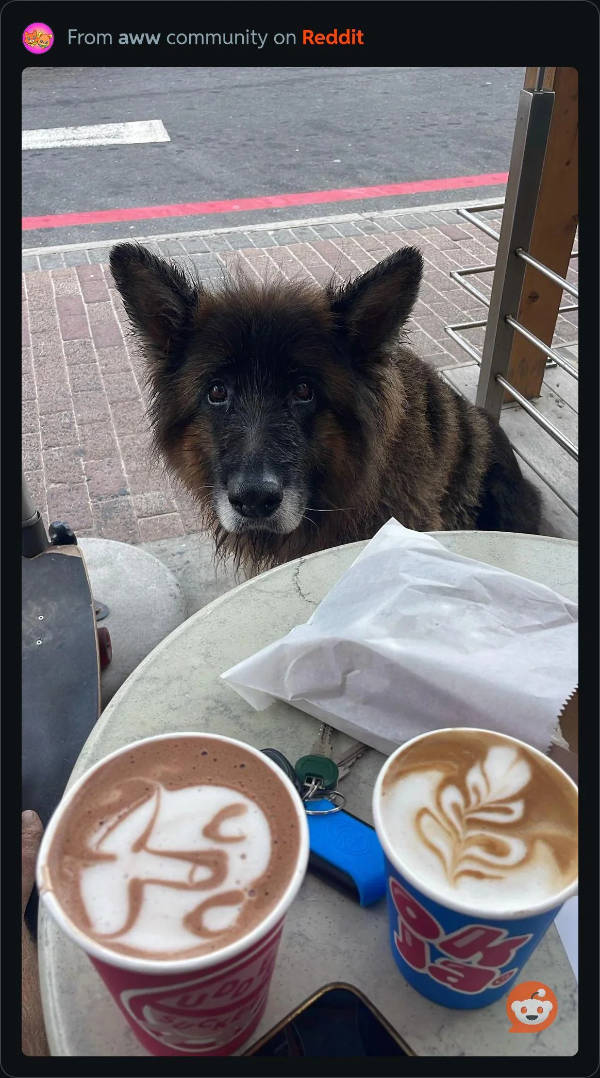 just hold up a minute 26 pics 3.html - 26 HD Photos | Premium Gallery 2024