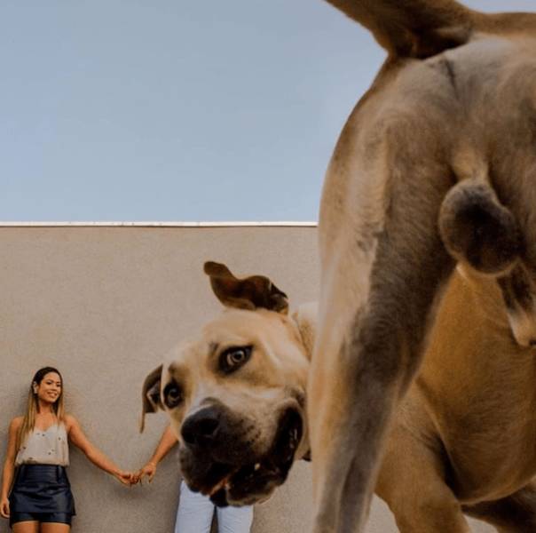 dirty minds are welcome 35 pics 2.html - 35 HD Photos | Premium Gallery 2024