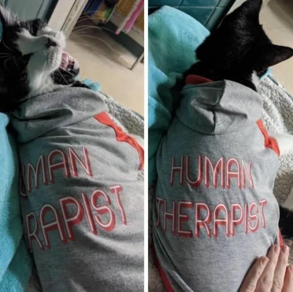 dirty minds are welcome 35 pics 2.html - 35 HD Photos | Premium Gallery 2024