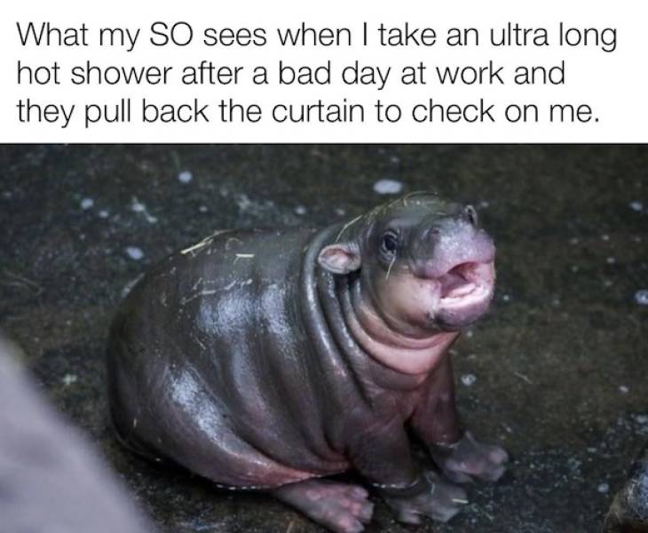 Flirty Memes To Annoy Your Significant Other