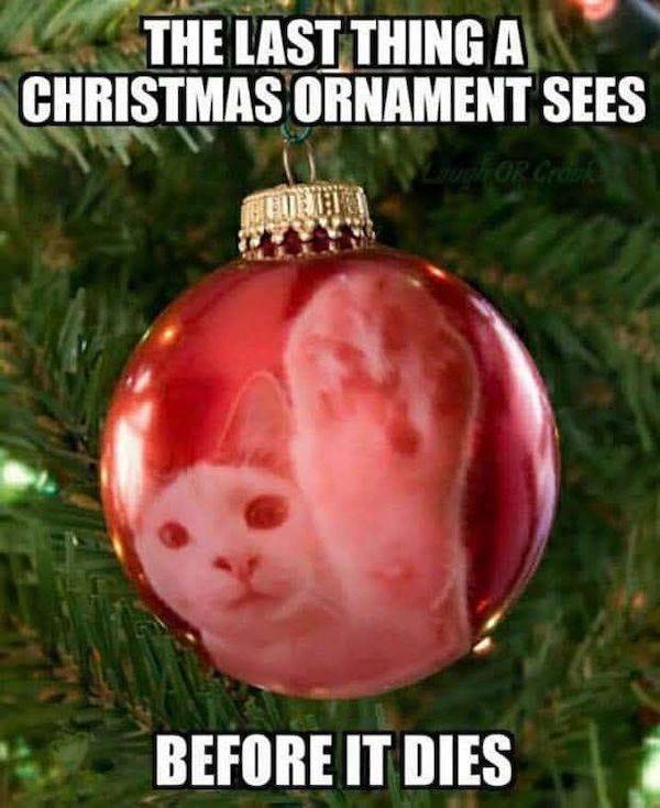 memes straight from santas naughty list 31 pics 25.html - 31 HD Photos | Premium Gallery 2024