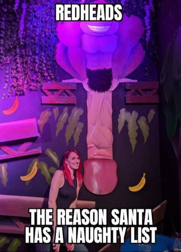 memes straight from santas naughty list 31 pics 25.html - 31 HD Photos | Premium Gallery 2024