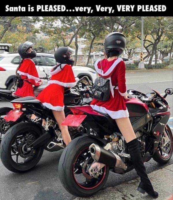 memes straight from santas naughty list 31 pics 25.html - 31 HD Photos | Premium Gallery 2024