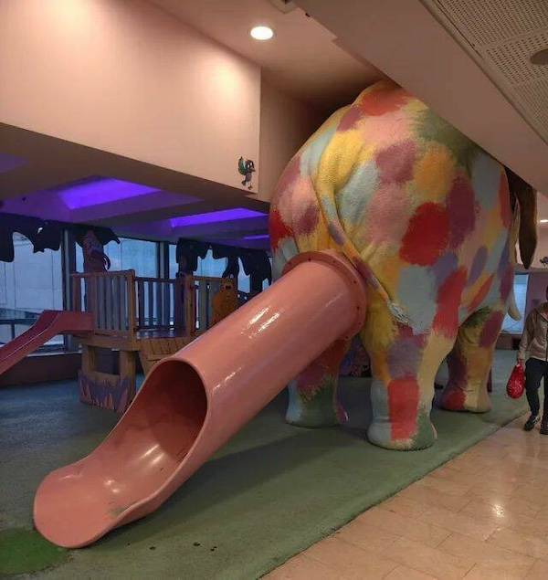 dirty minds only 38 pics 1 gif 9.html - 38 HD GIF | Premium Gallery 2025