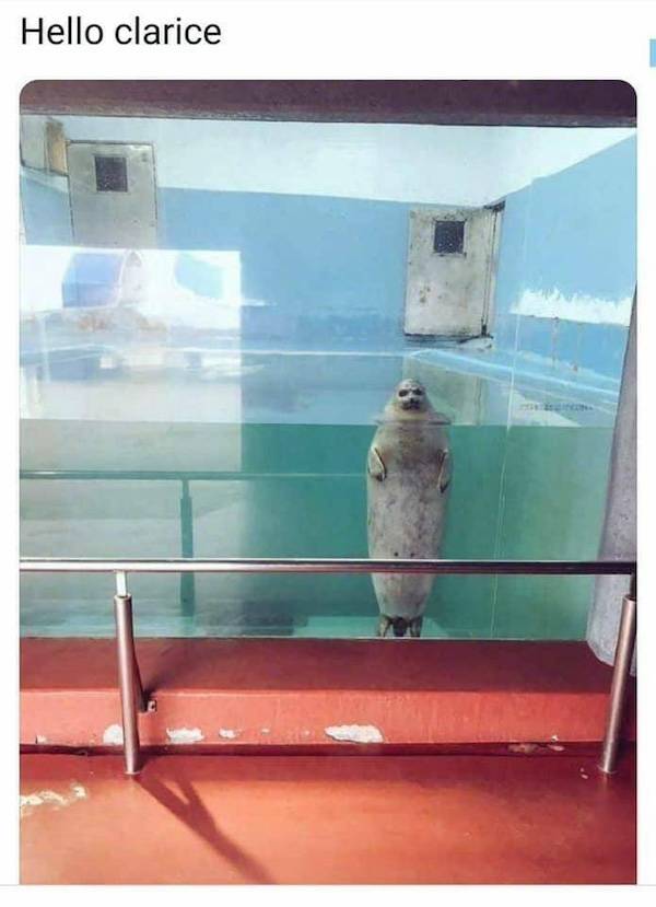 Dirty Minds Are Welcome!