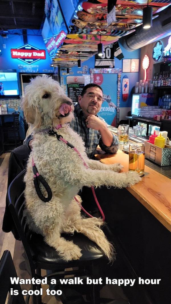 drinking never ends 36 pics 6.html - 36 HD Photos | Premium Gallery 2025