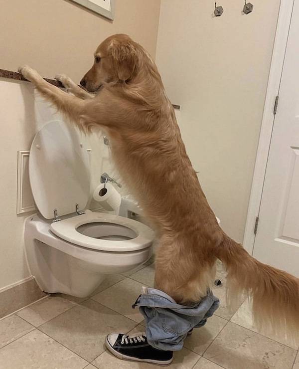 dirty minds are welcome 37 pics 14.html - 37 HD Photos | Premium Gallery 2025