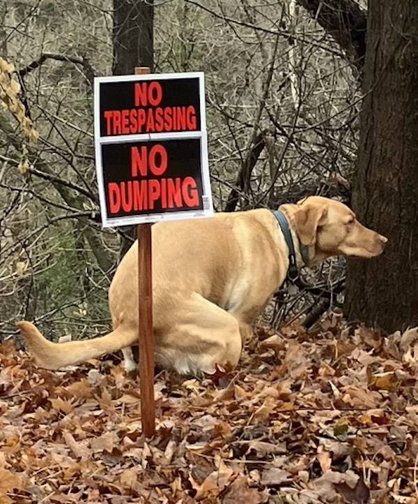 dirty minds are welcome 37 pics 14.html - 37 HD Photos | Premium Gallery 2025