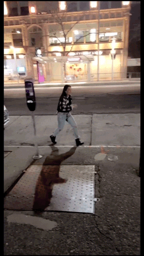 flaming fiascos collection of hot fails 31 gifs 7.html - 1 HD GIF | Premium Gallery 2025