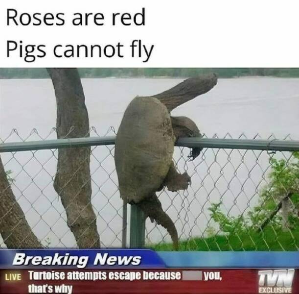 Dirty Minds Are Welcome!