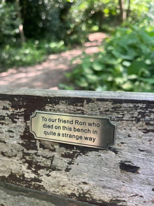 Hold On A Damn Minute!