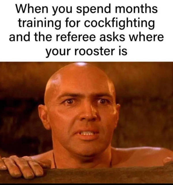 Hold On A Damn Minute!