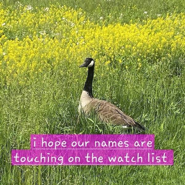 Playfully Naughty Memes For When You