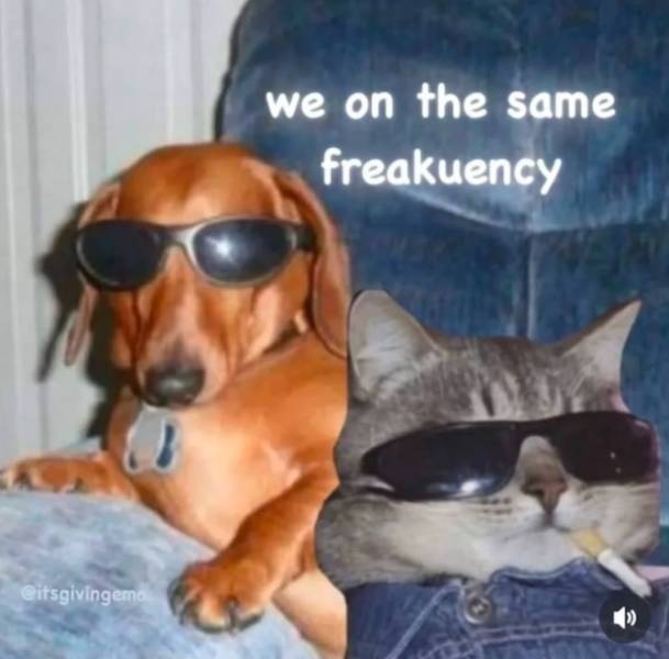 Playfully Naughty Memes For When You