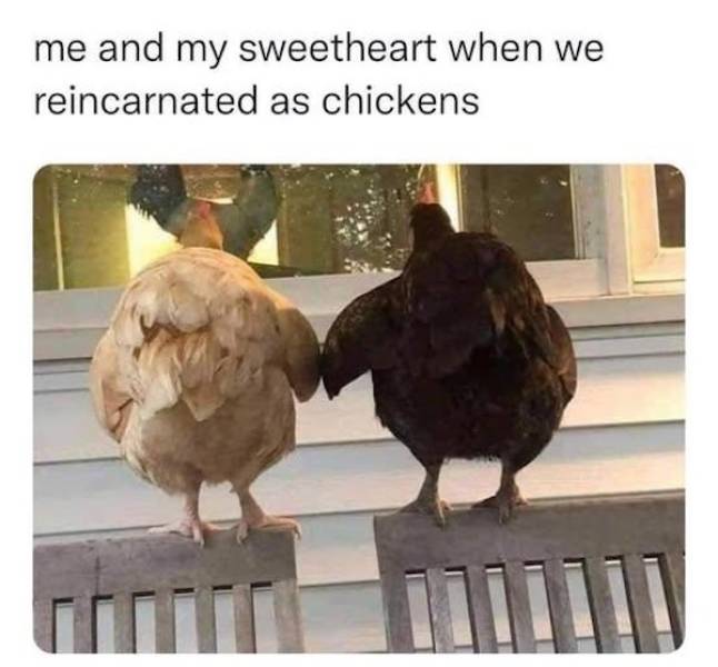 playfully naughty memes for when youre feeling flirty 34 pics 15.html - 34 HD Photos | Premium Gallery 2025