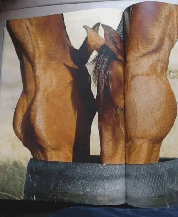 Dirty Minds Are Welcome!