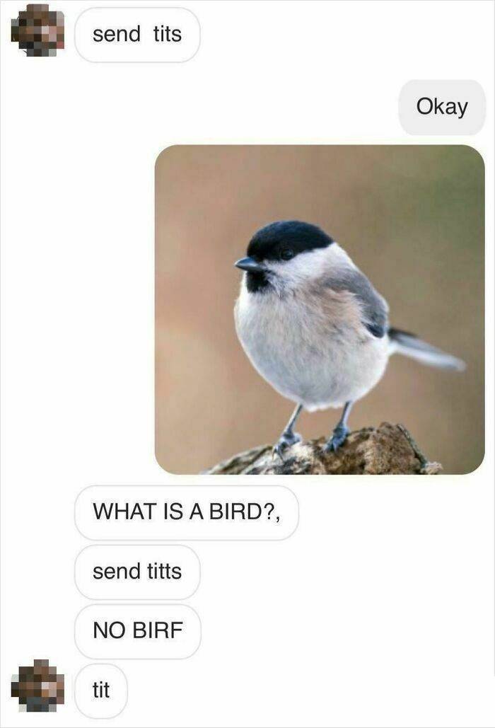 women who shut down creepy messages with style 49 pics 15.html - 49 HD Photos | Premium Gallery 2025