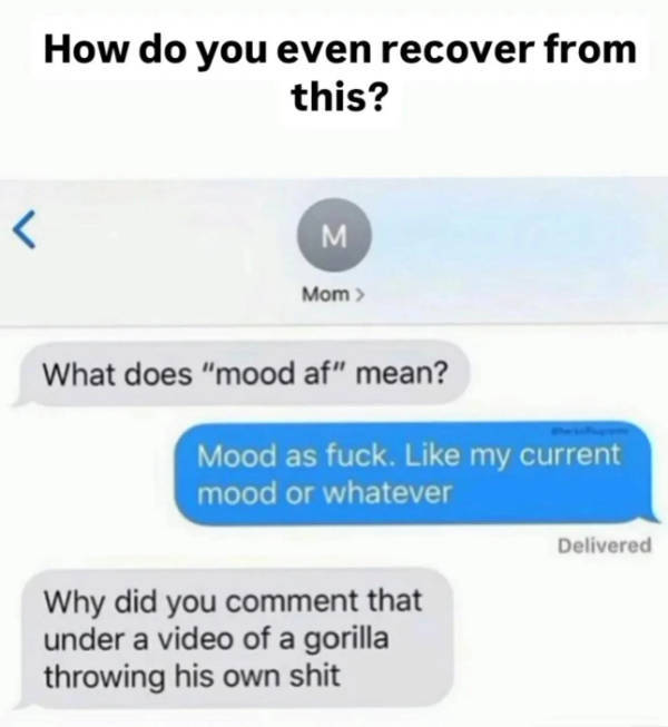 Hold Up A Damn Minute!