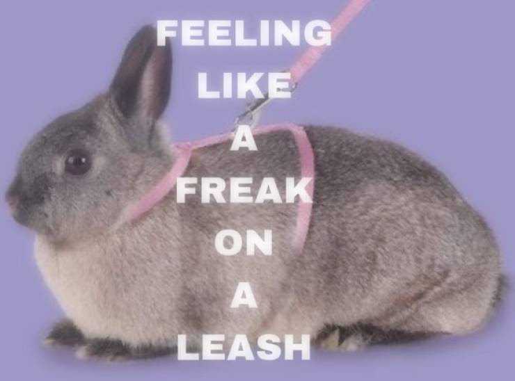 NSFW Memes To Add Some Spice To Your Life