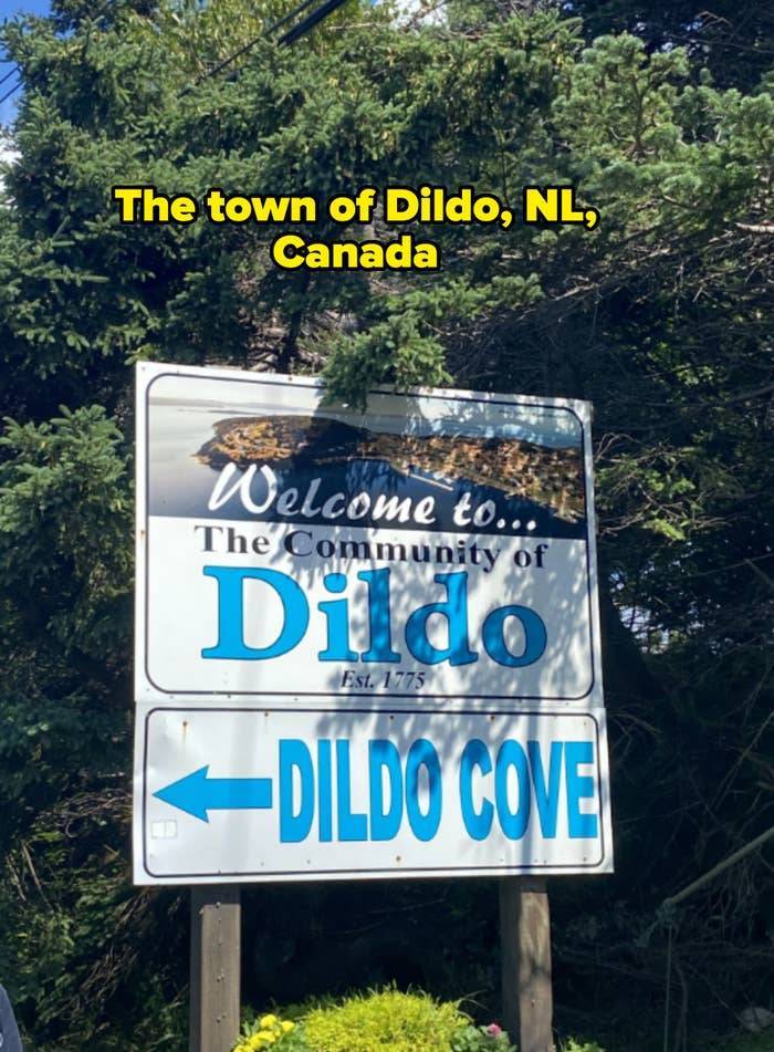 When Photos Are Both Questionable And Hilarious