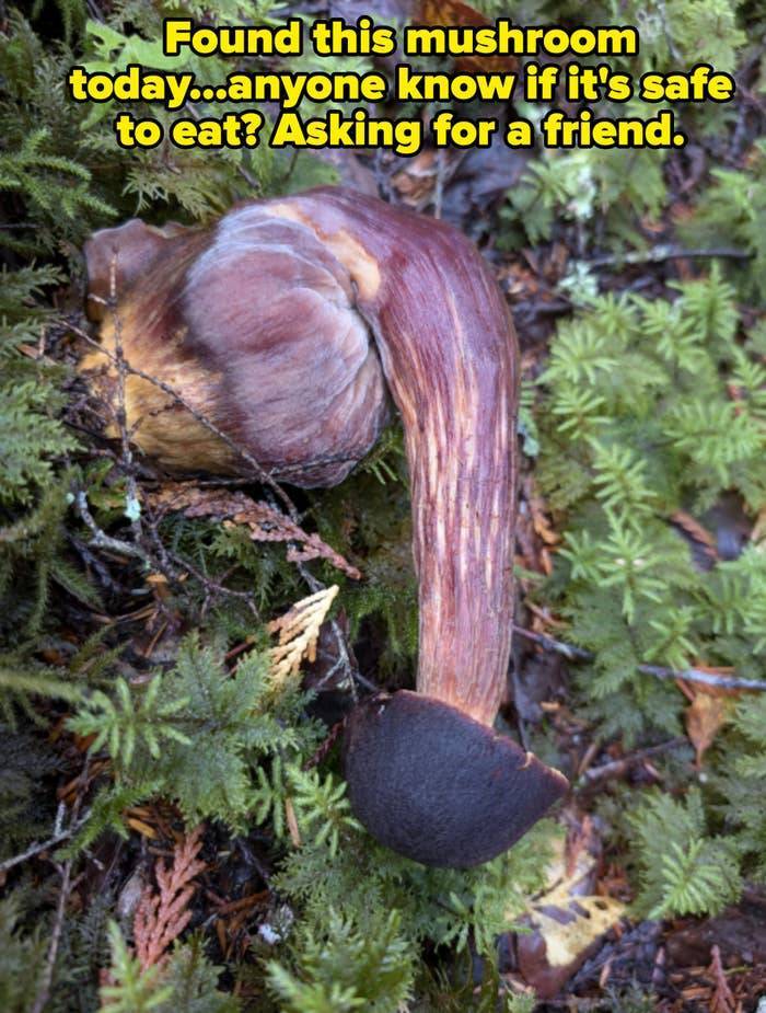 when photos are both questionable and hilarious 39 pics 5.html - 39 HD Photos | Premium Gallery 2025