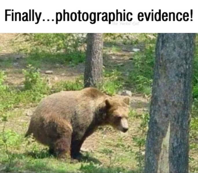 dirty dump for dirty minds 35 pics 1 gif 4.html - 35 HD GIF | Premium Gallery 2025