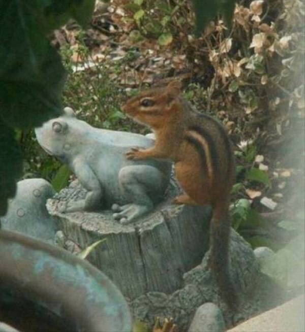 Dirty Dump For Dirty Minds