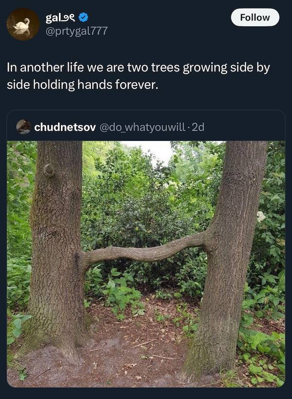 dirty dump for dirty minds 35 pics 1 gif 4.html - 35 HD GIF | Premium Gallery 2025