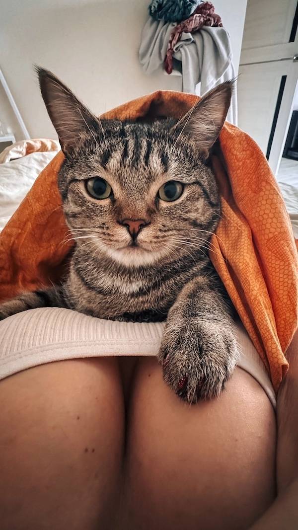 Boobs! Boobs For Everyone!