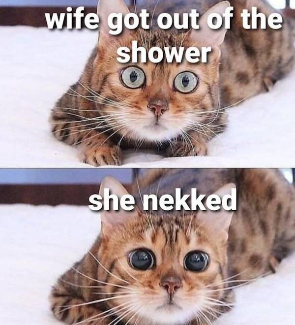 Dirty Dump For Dirty Minds