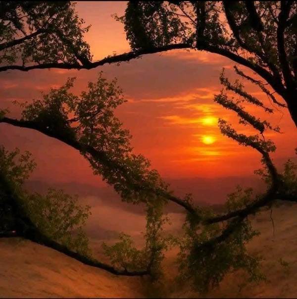 Dirty Dump For Dirty Minds