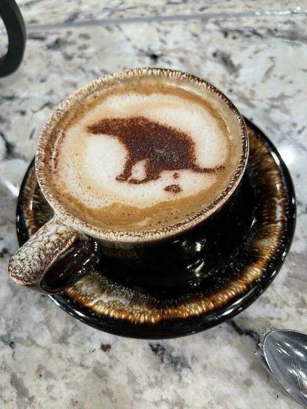 dirty dump for dirty minds 36 pics 17.html - 36 HD Photos | Premium Gallery 2025