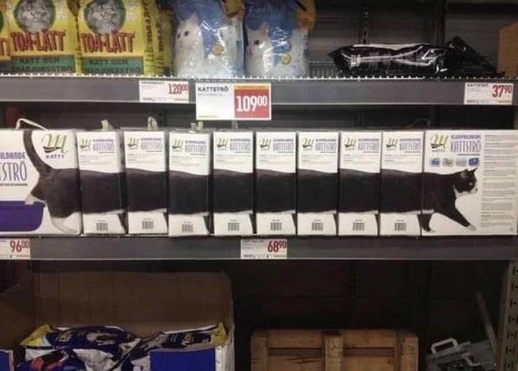 when creativity goes too far 46 pics 17.html - 46 HD Photos | Premium Gallery 2025