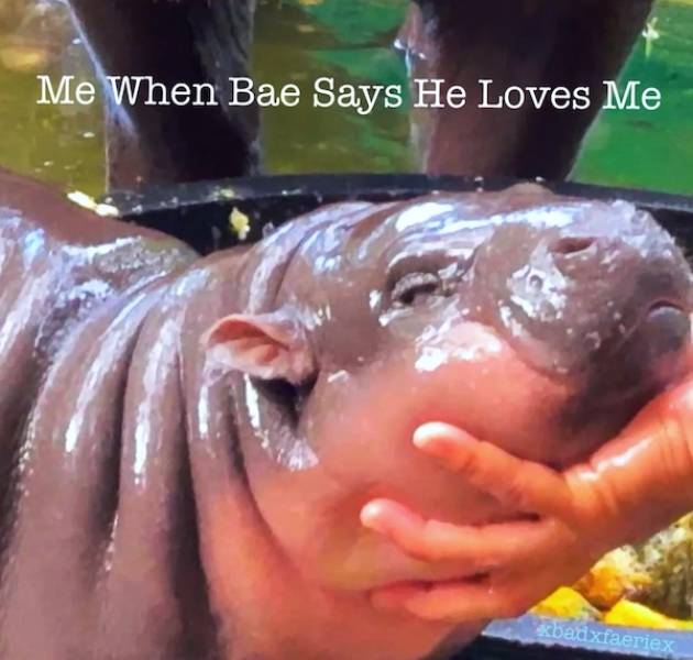 Sassy, Classy And A Bit Trashy