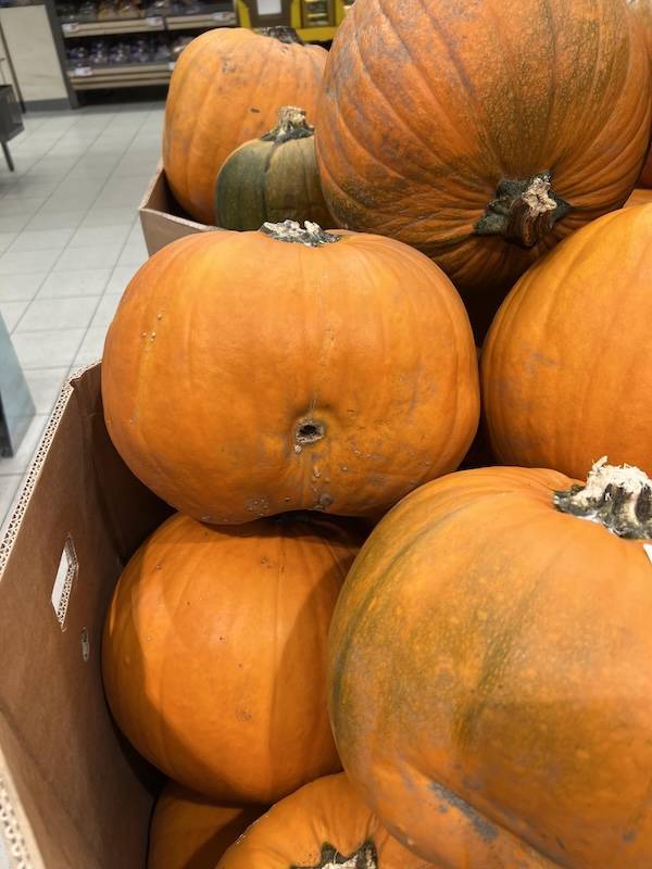 sexy food 40 pics 14.html - 40 HD Photos | Premium Gallery 2025