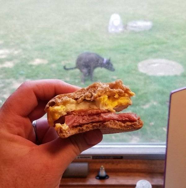 Dirty Dump For Dirty Minds