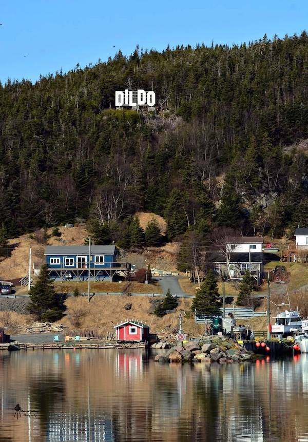 dirty dump for dirty minds 40 pics 15.html - 40 HD Photos | Premium Gallery 2025