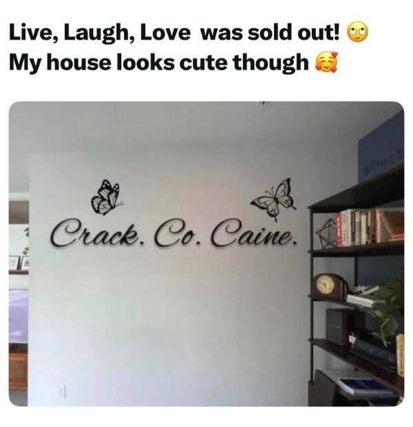 dirty dump for dirty minds 40 pics 15.html - 40 HD Photos | Premium Gallery 2025