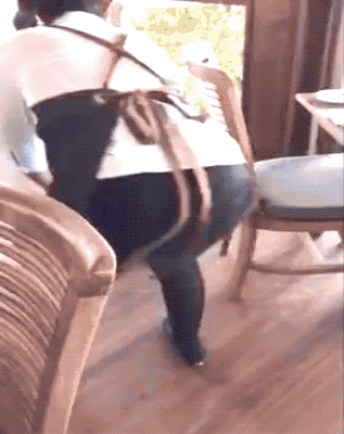 girls with skills 30 gifs 4.html - 1 HD GIF | Premium Gallery 2025