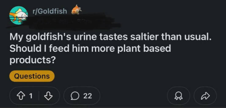 Hold Up A Damn Minute!