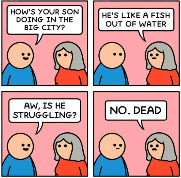 Hold Up A Damn Minute!